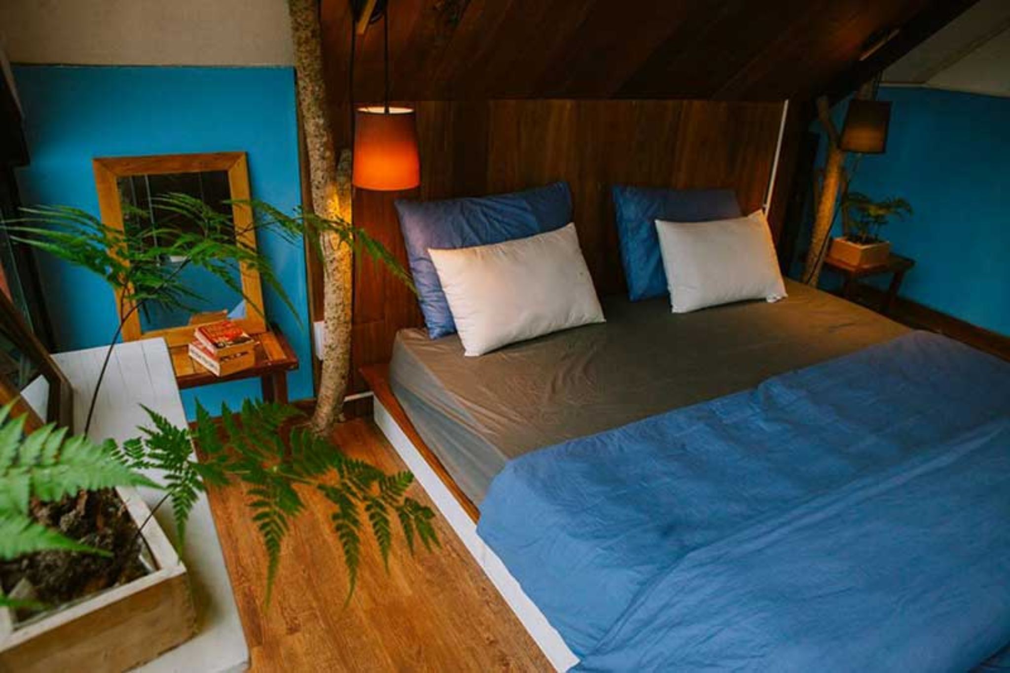thiết kế phòng riêng trong hostel 17